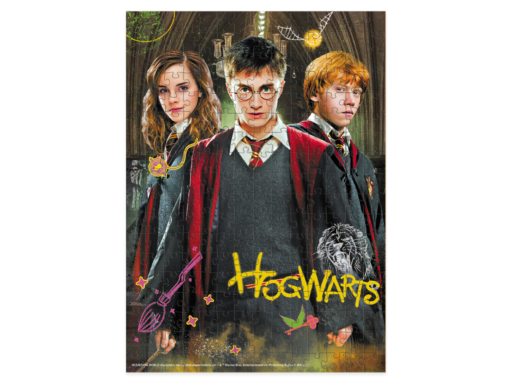 Пазл Harry Potter, Гарри и друзья, 250 элементов, DoDo 200498