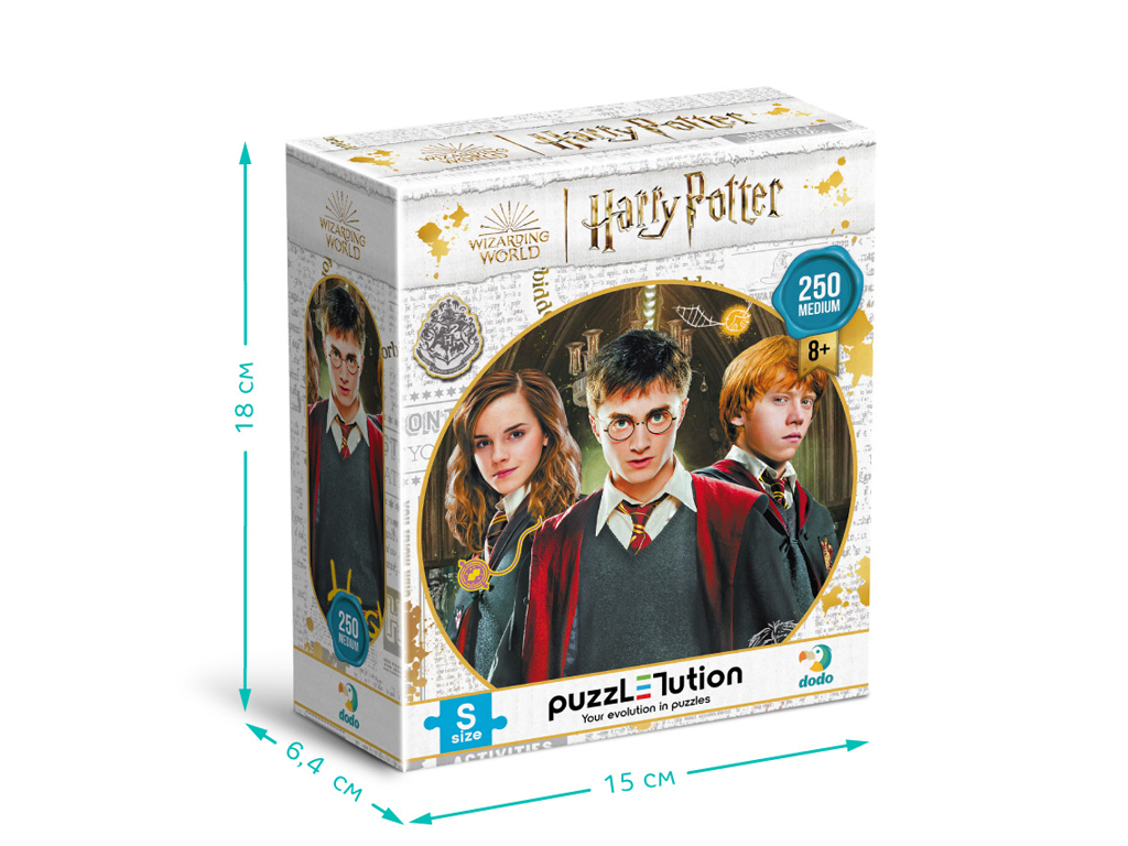 Пазл Harry Potter, Гарри и друзья, 250 элементов, DoDo 200498