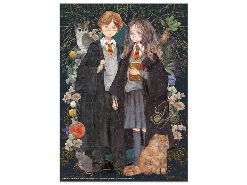 Пазл Harry Potter, Герміона та Роналд, 300 елементів, DoDo 200499
