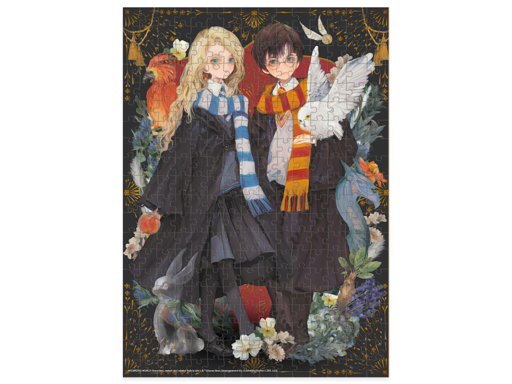 Пазл Harry Potter, Луна и Гарри, 300 элементов, DoDo 200500
