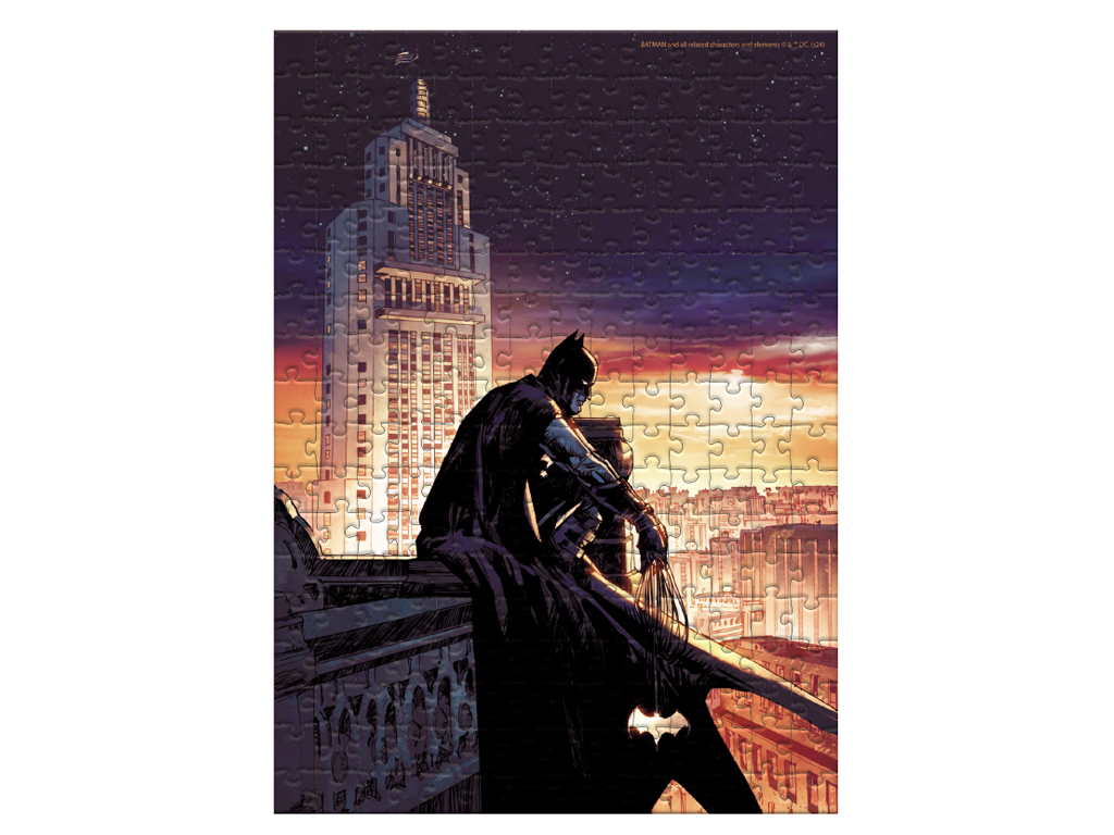 Пазл Medium-S, Batman Мир, 250 элементов, DoDo 200559