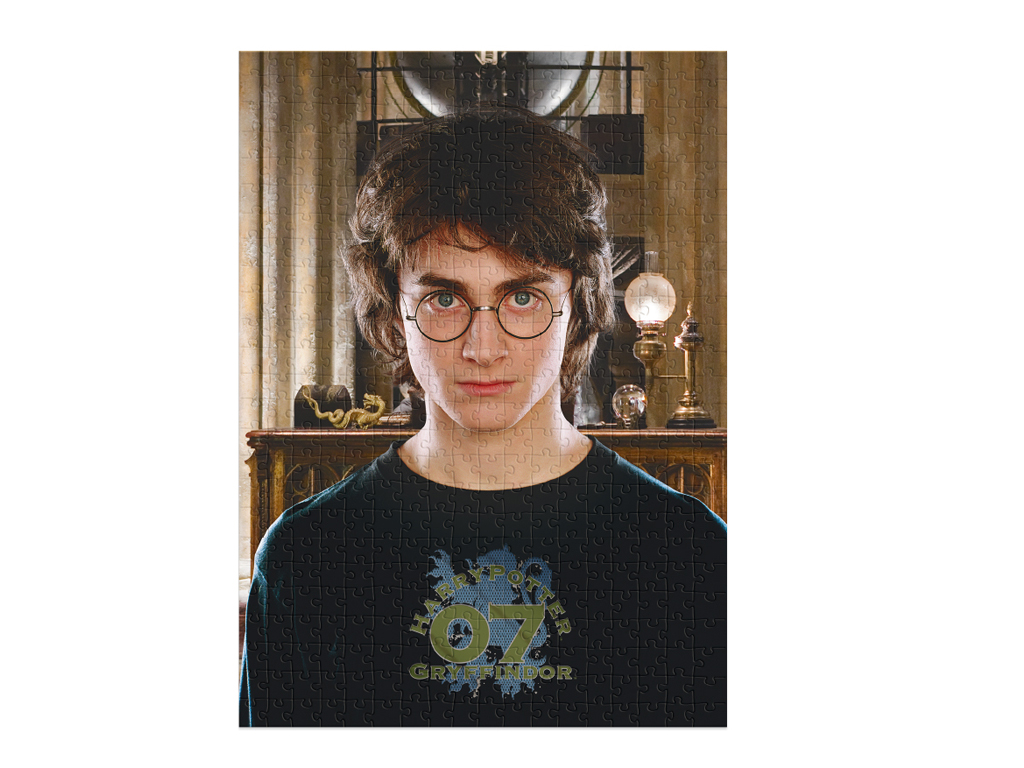 Пазл Harry Potter, 450 элементов, DoDo 200576