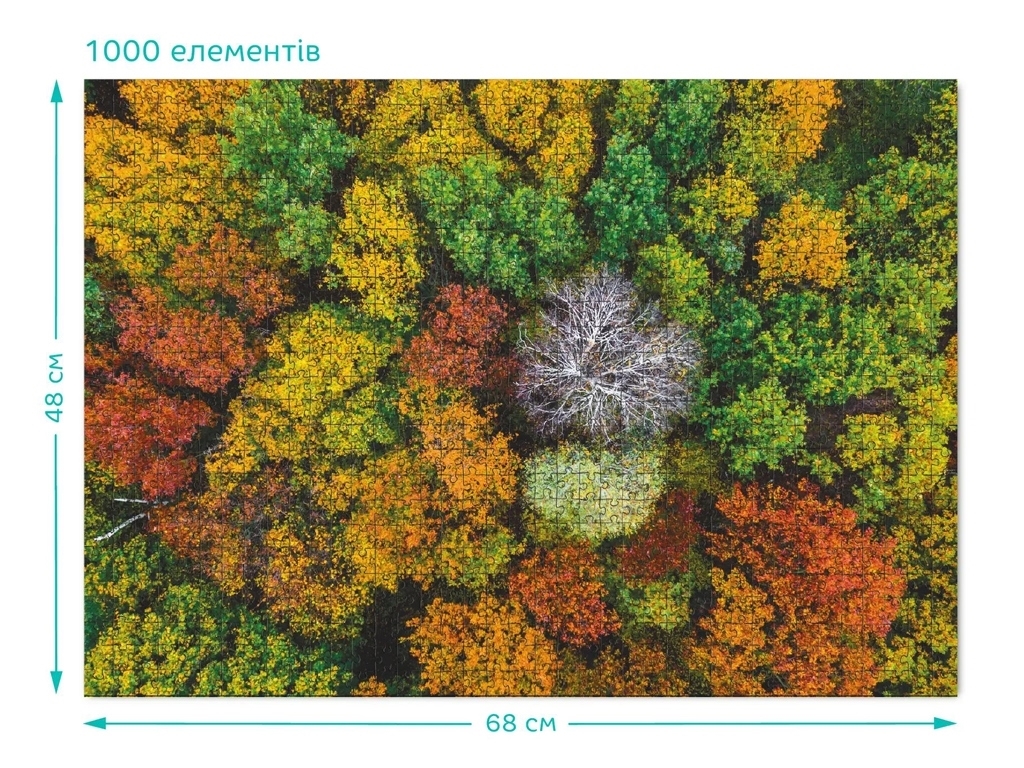 Пазл Село Демброня, Украина, 1000 элементов, DoDo
