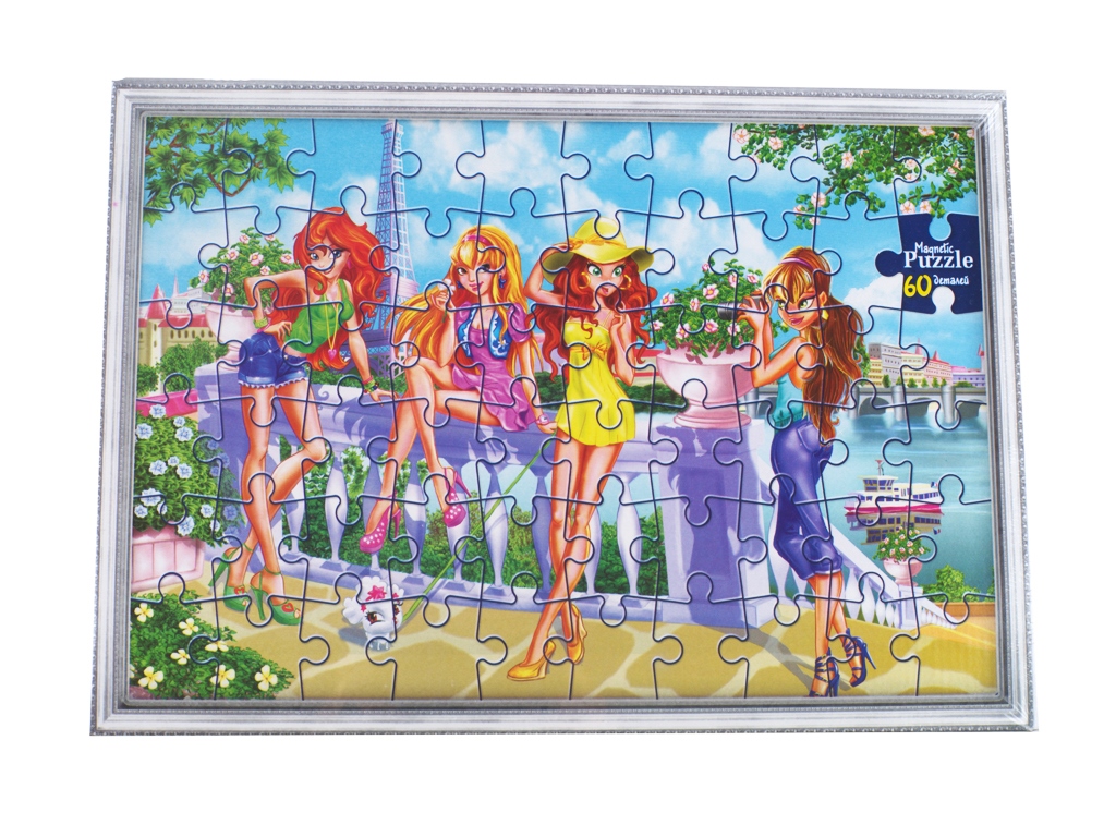 Пазлы магнитные, 60 элементов, Danko Toys