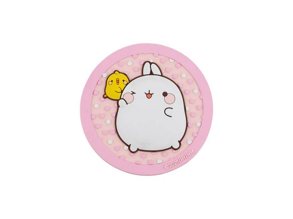 Бейдж на липучке Molang, Kite
