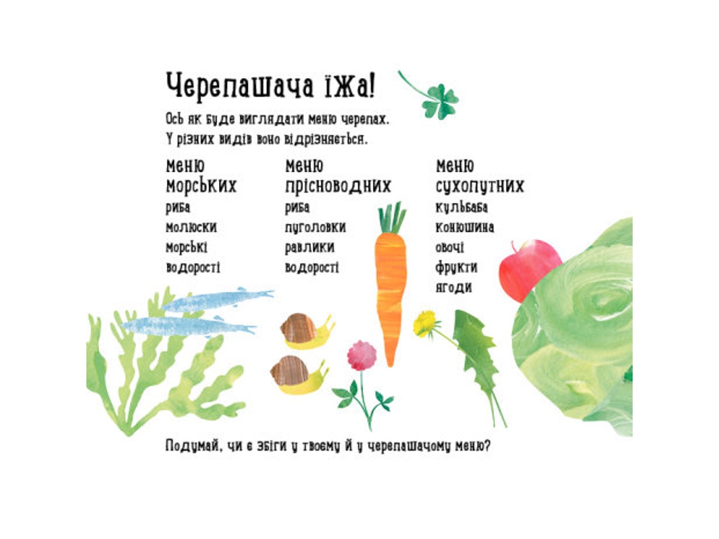 Дитяча книга "Куди поділася черепаха?", Н. Чуб, Ранок