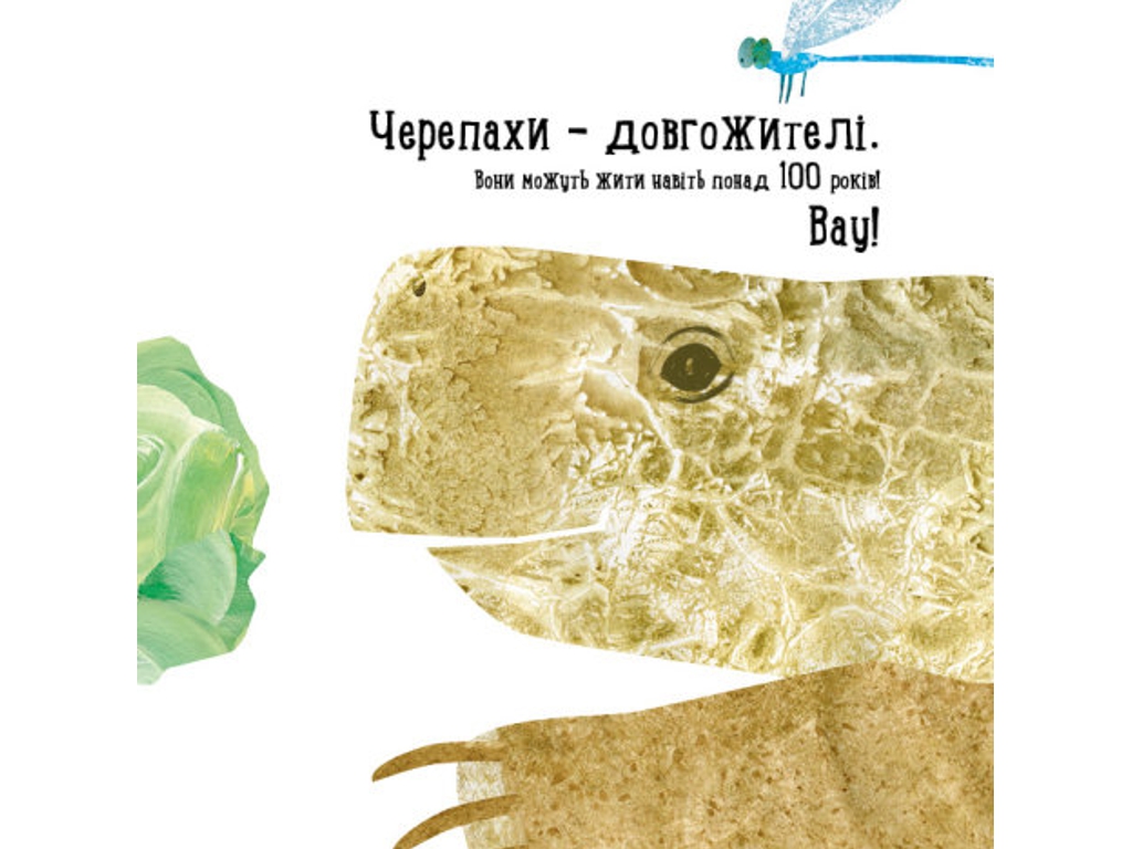 Дитяча книга "Куди поділася черепаха?", Н. Чуб, Ранок