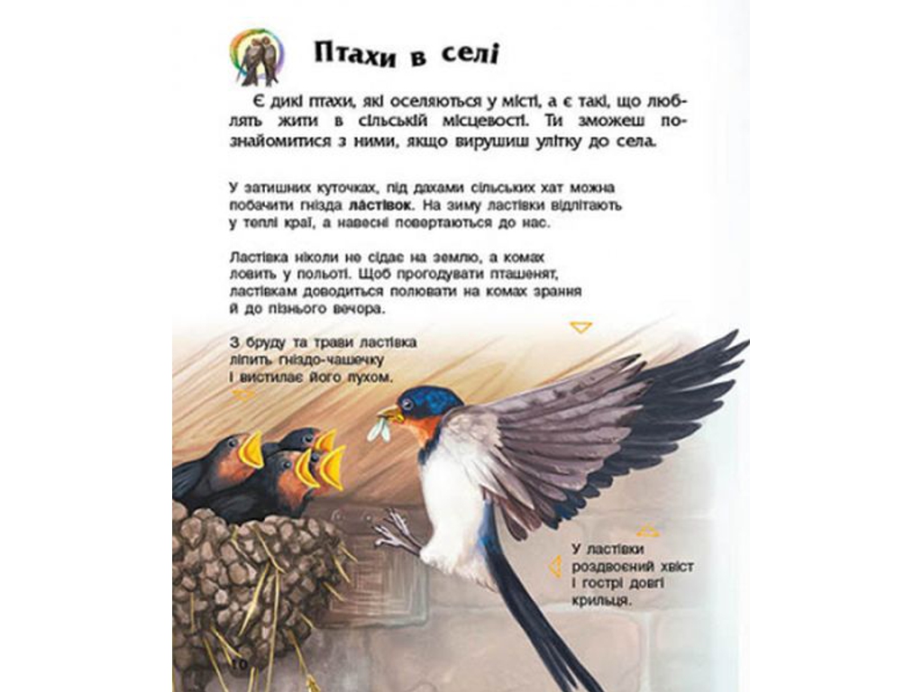 Енциклопедія “Птахи”, вік 2-6, Ю. Каспарова, Ранок