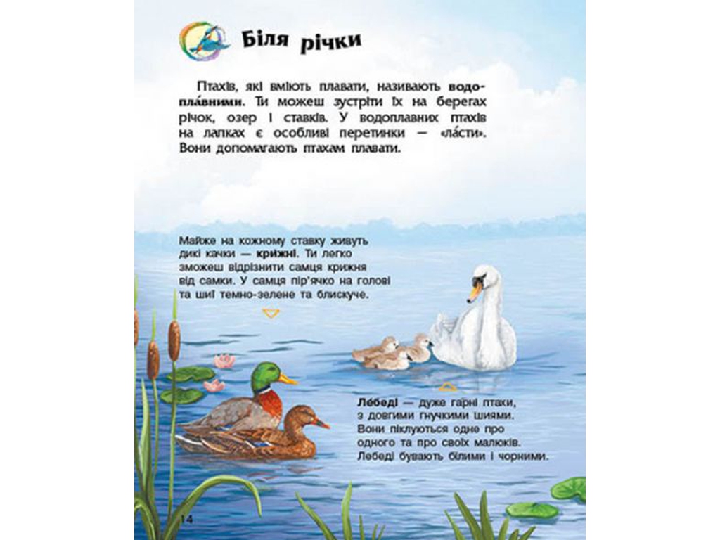 Енциклопедія “Птахи”, вік 2-6, Ю. Каспарова, Ранок