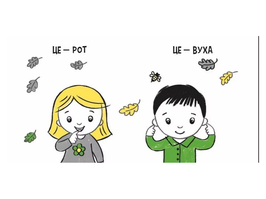 Моя контрастна книжка. Моє тіло — серія "Моя контрастна книжка", від народження, Ранок