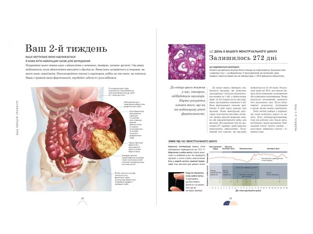Енциклопедія “Вагітність день за днем”, 496 с., Меггі Блотт, Ранок