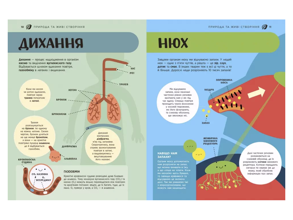 Енциклопедія "STEM для дітей 100 понять для майбутнього генія", 6+, Ранок