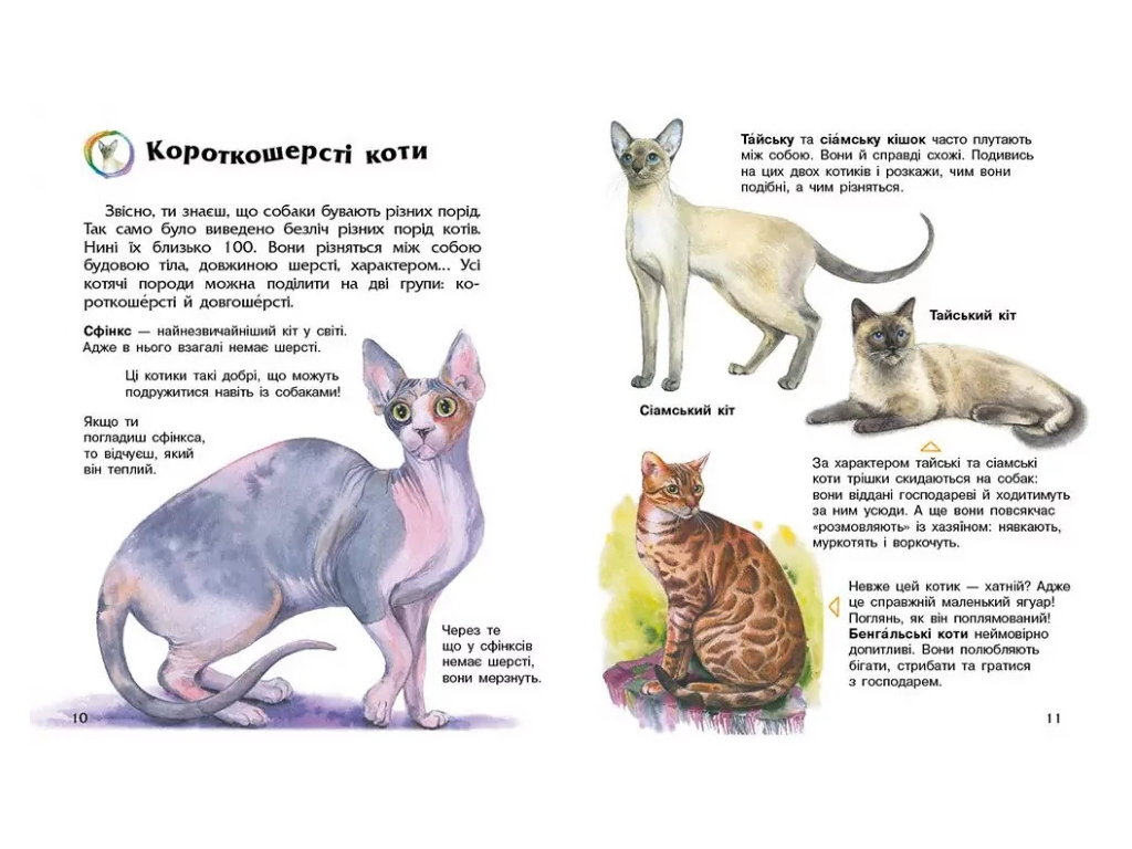 Енциклопедія дошкільника, Коти, Ранок