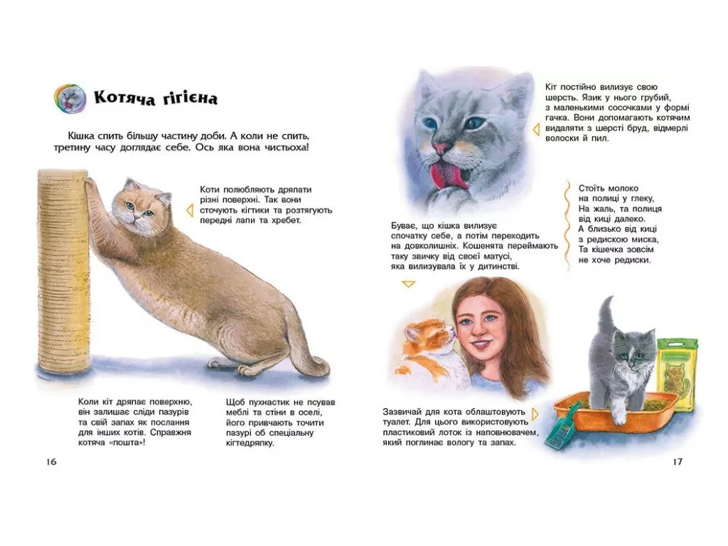 Енциклопедія дошкільника, Коти, Ранок