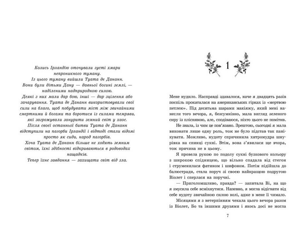 Роман, "Академия Эверфолл. Пропащая принцесса", 18+, Мона Кастен, Readberry