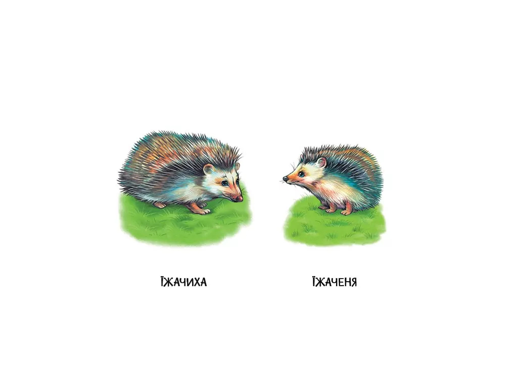 22 картинки, Мами і дитинчата, Ранок А2116001У