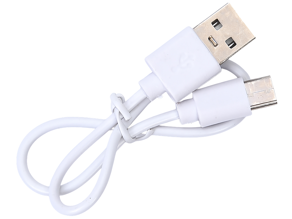 Ночник настольный Капибара на мотоцикле, 24 см, 2 режима света, USB-зарядка