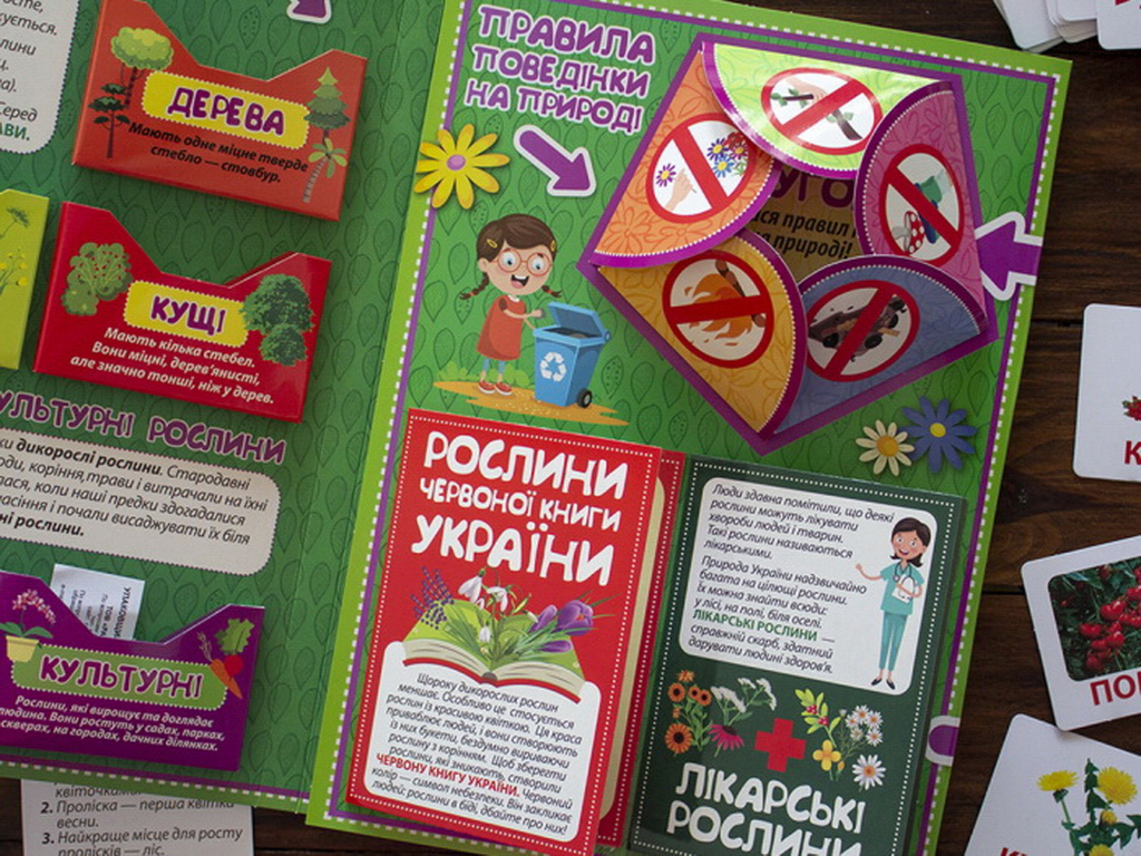 Мини-лепбук "Растения", НУШ, 1 класс, Ранок
