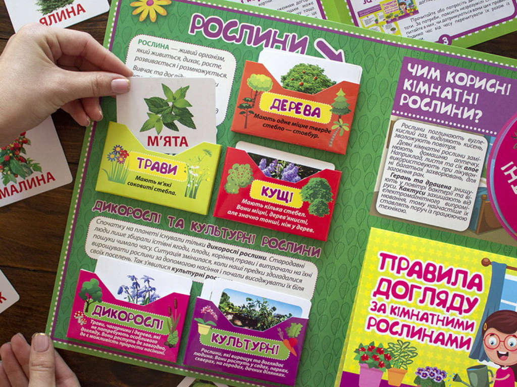 Мини-лепбук "Растения", НУШ, 1 класс, Ранок
