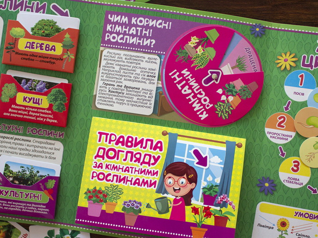 Мини-лепбук "Растения", НУШ, 1 класс, Ранок