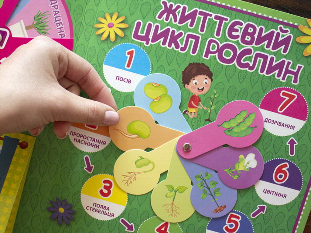 Мини-лепбук "Растения", НУШ, 1 класс, Ранок
