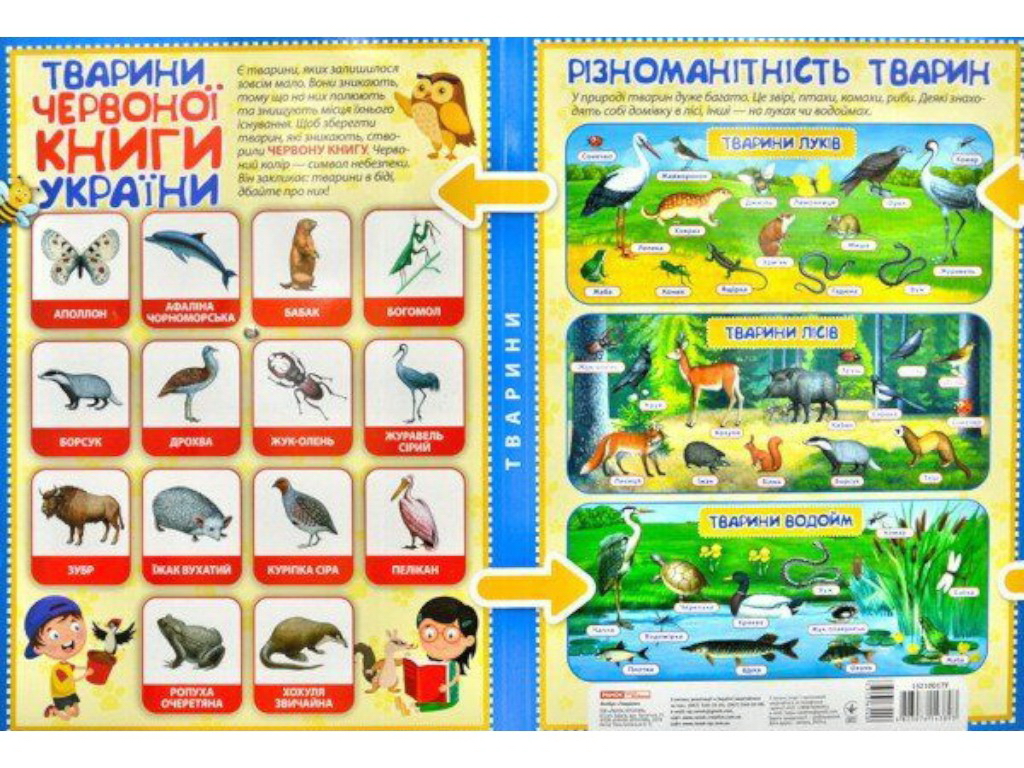 Мини-лепбук "Животные", НУШ, Ранок