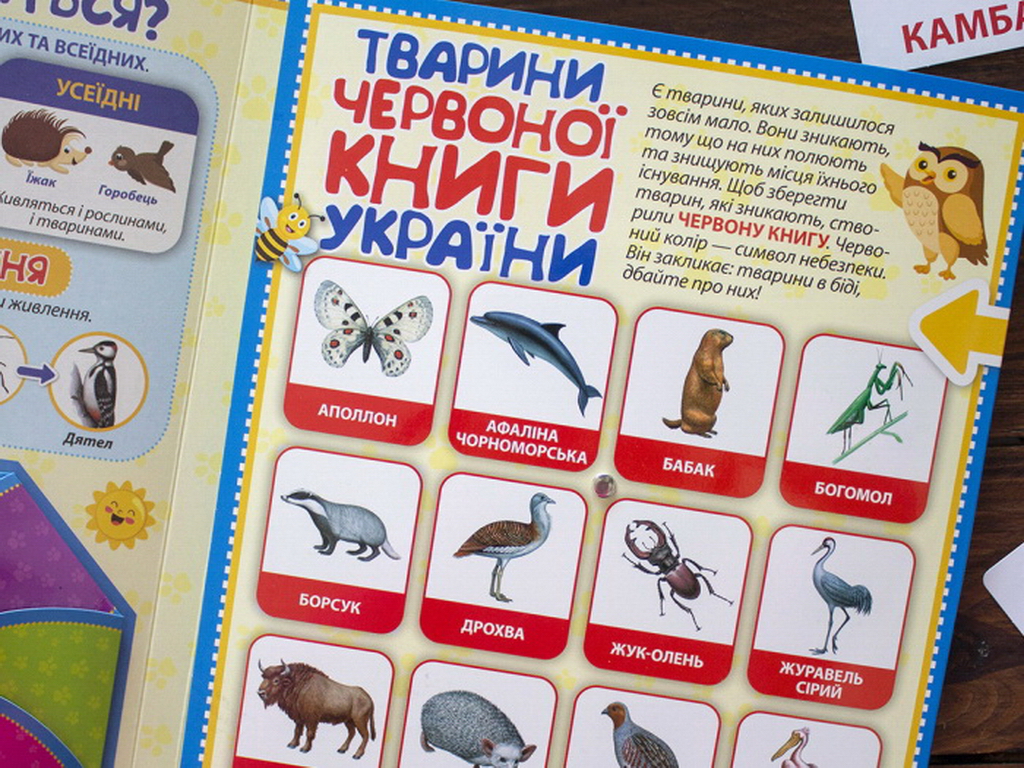Мини-лепбук "Животные", НУШ, Ранок