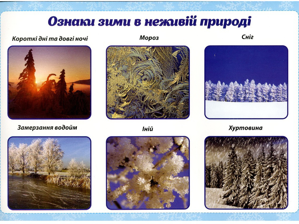 Пособие "Зимние наблюдения", НУШ, Ранок