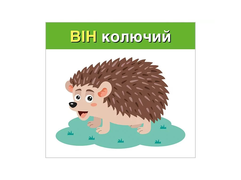 Вивчаємо займенники ВІН,ВОНА, ВОНО, ВОНИ; навчальні картки