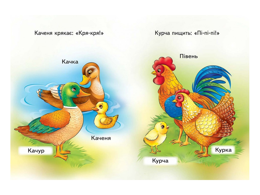 Дитяча книжка-картонка Розвивайко, Мами, тата, діти, Пегас