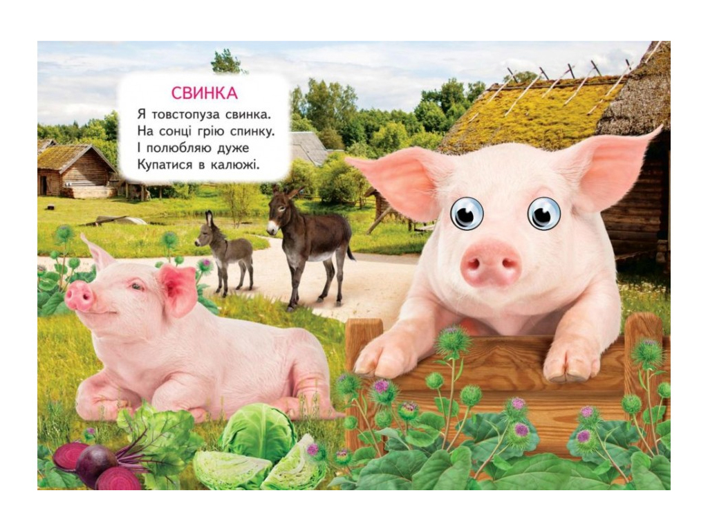 Книжка "Ферма", 1+, Пегас