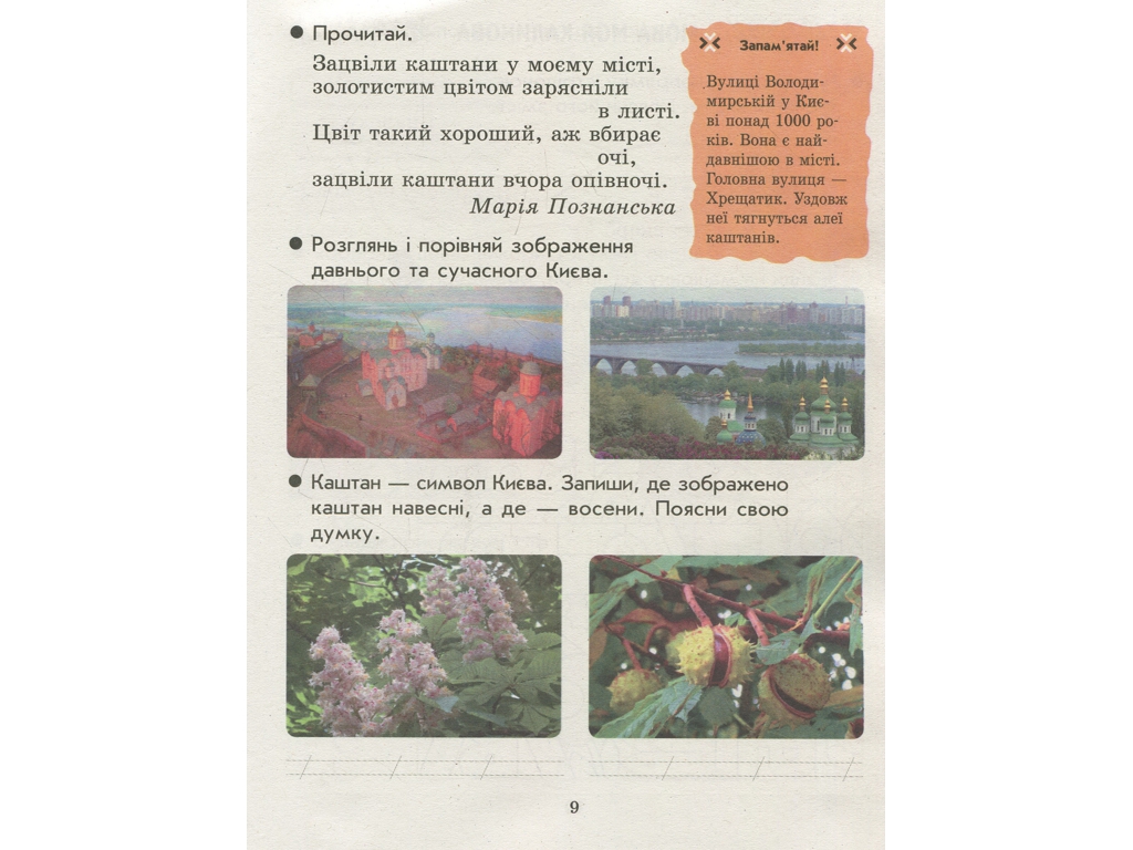 Тетрадь "Мы – украинцы", 1 класс, И. Гусельникова, Н. Печерица, Ранок