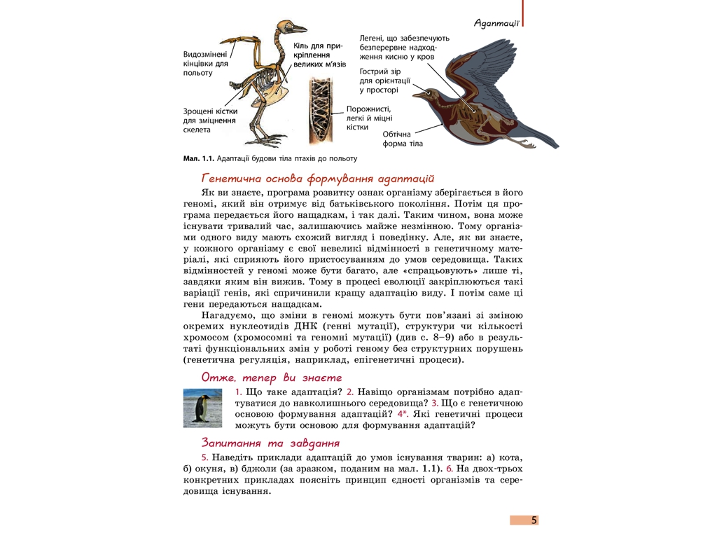 Біологія і екологія. Підручник 11 клас. Рівень стандарту, К. Задорожний, Ранок