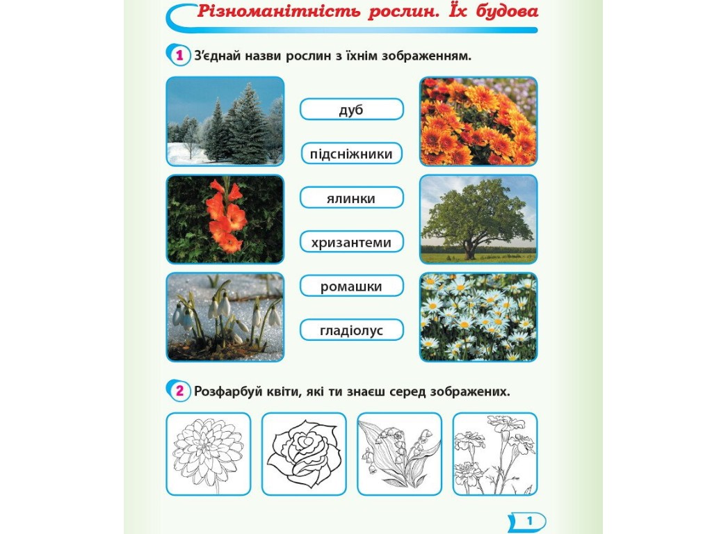 Робочий зошит "Я досліджую світ", 1 клас НУШ частина 2, А. Назаренко, Ранок