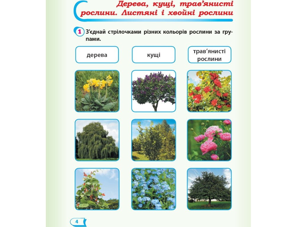 Робочий зошит "Я досліджую світ", 1 клас НУШ частина 2, А. Назаренко, Ранок
