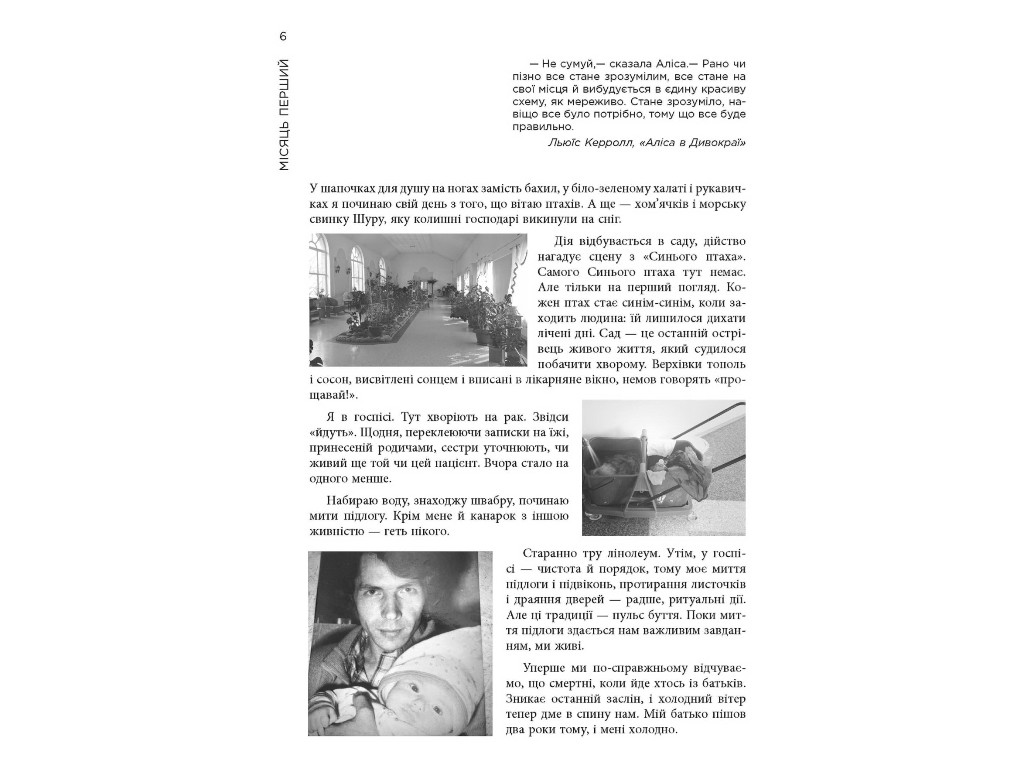 Книга “12 місяців. Рік сенсу. Як знайти покликання й жити щасливо”, Поліна Башкіна, Фабула