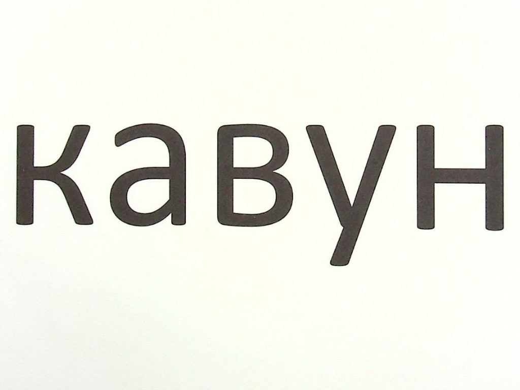 Зрительные диктанты по украинскому языку, 1 класс, Л. Шевчук, серия Зрительные диктанты, Литера ЛТД