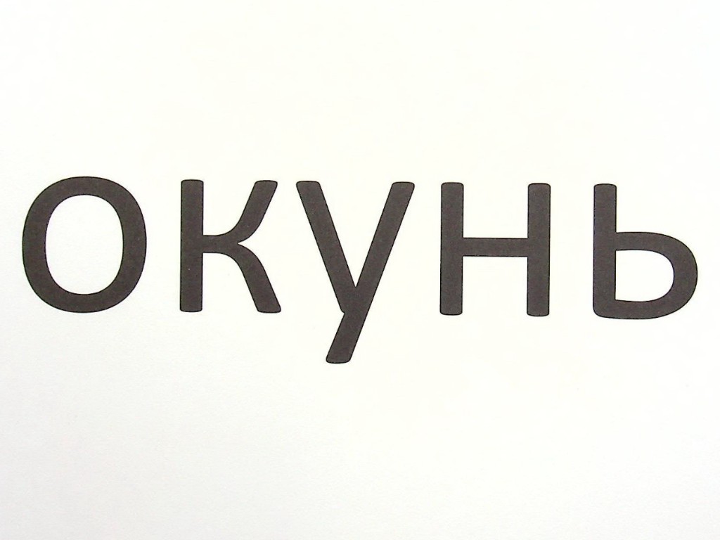 Зрительные диктанты по украинскому языку, 1 класс, Л. Шевчук, серия Зрительные диктанты, Литера ЛТД