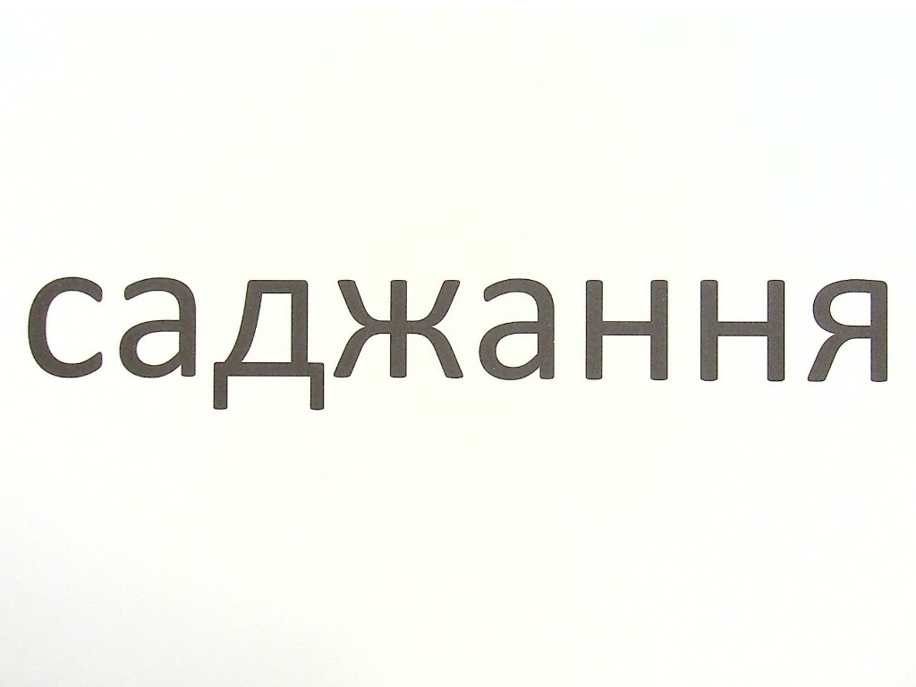 Зрительные диктанты "Украинский язык 4 класс", Л. Шевчук, Литера ЛТД