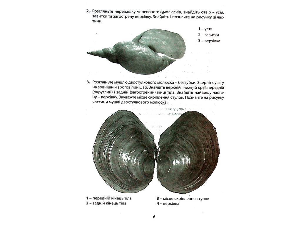 Тетрадь "Биология. 7 класс", А. Спрягайло, Литера
