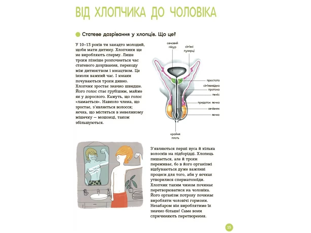Енциклопедія «Статевого життя 10–13 років», пізнавальна книга, Ж. Кан-Натан, Ж. Коен, Основа