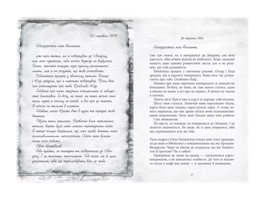 Роман "Світ Анімант. Розповідь про Книжкові хроніки", 16+, Лінь Ріна, Фабула