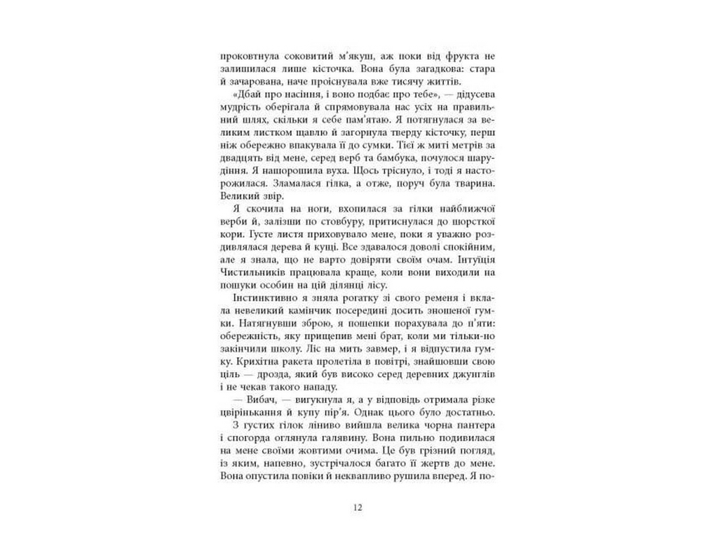 Книга Вогню, Фабула ФБ1885018У