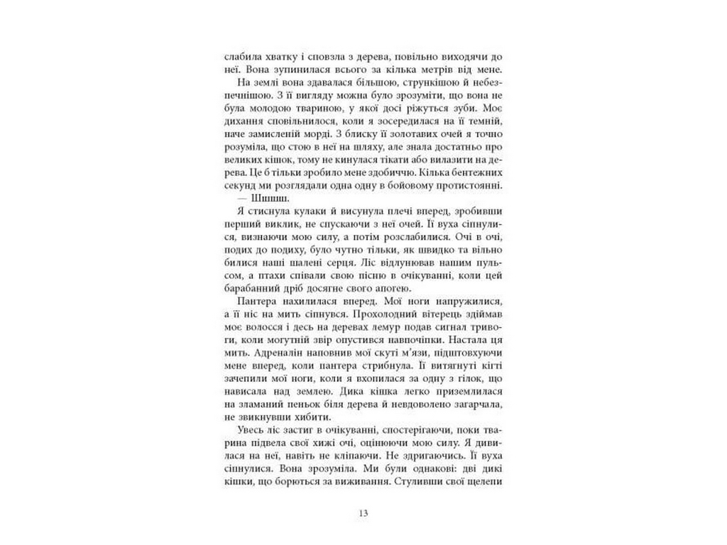 Книга Вогню, Фабула ФБ1885018У