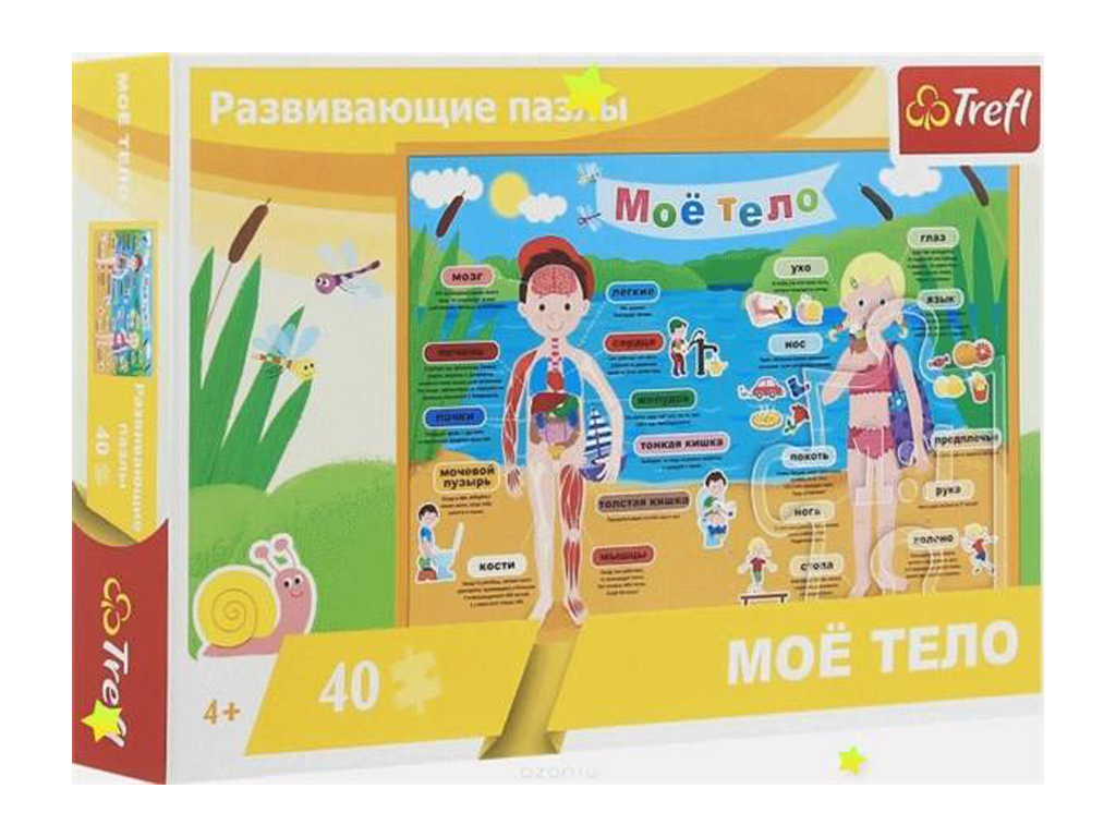 Пазли навчальні Моє тіло, 40 елементів, Trefl