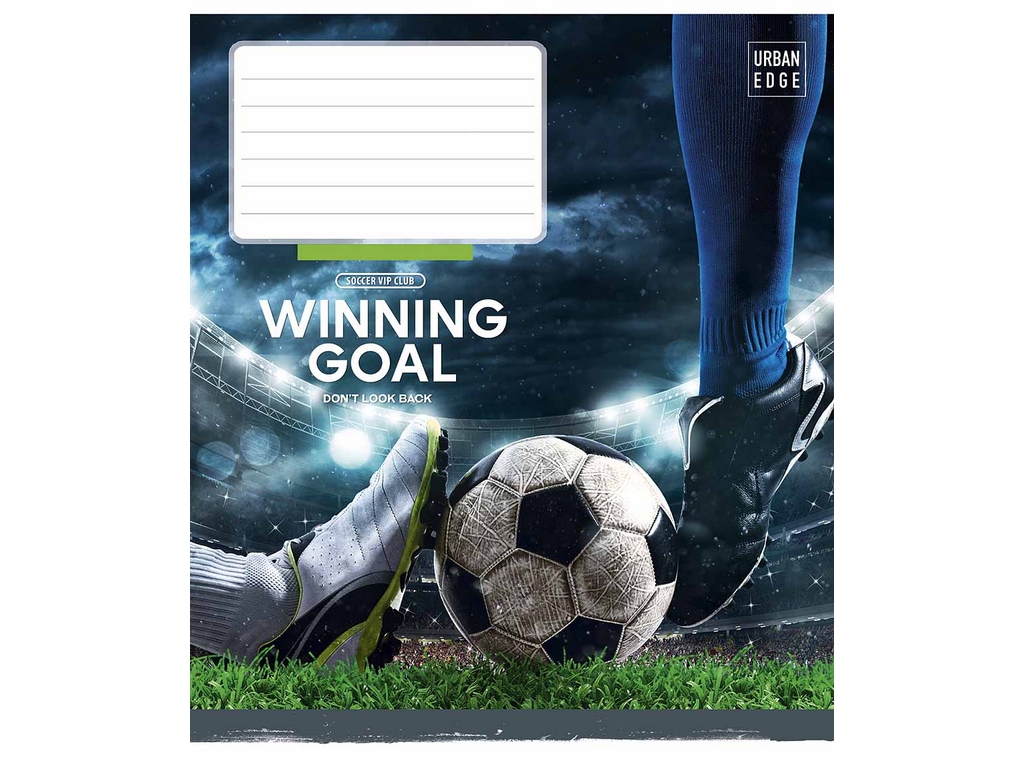 Зошит учнівський 18 аркушів, у лінію, Школярик 018-3673L