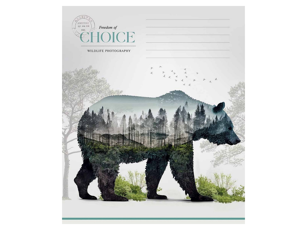 Зошит у клітинку Choice Star, 24 аркушів, 5 видів, Школярик (ціна за 1шт)