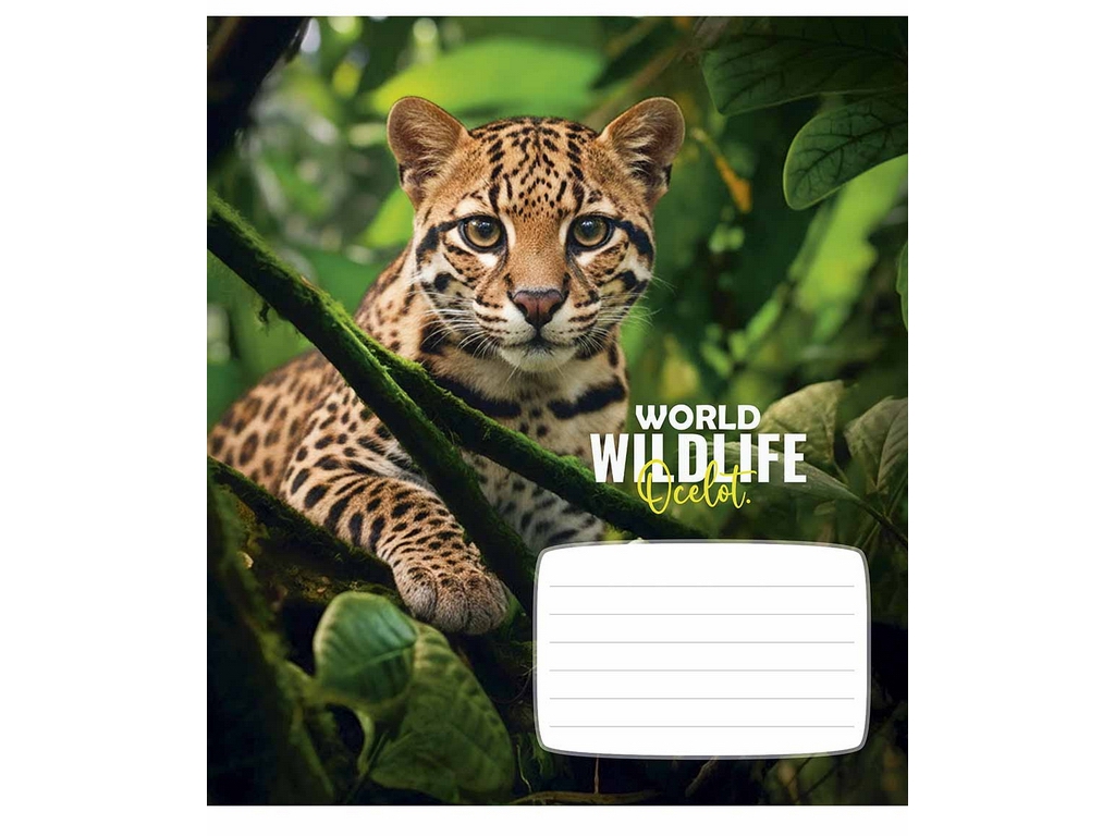 Тетрадь в линию 24 листа, Wildlife, 5 видов, Школярик 024-3679L (цена 1шт)