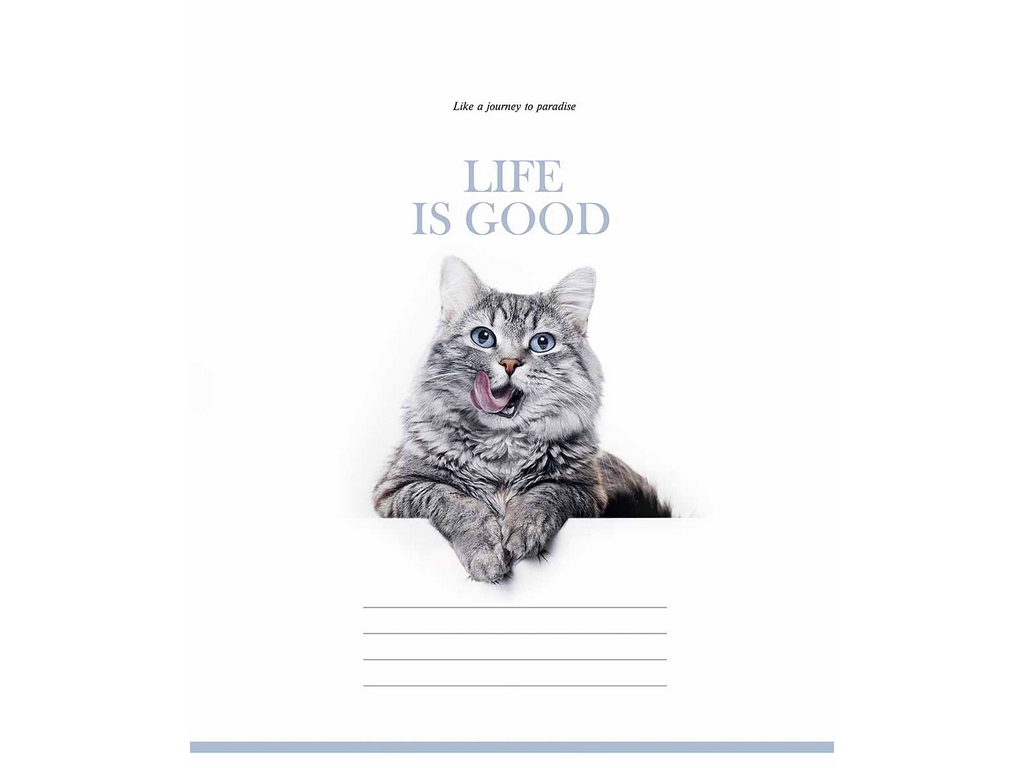 Зошит у клітинку Life is good 048-3670K, 48 аркушів, ВД-лак, 5 видів (ціна за 1шт), Школярик