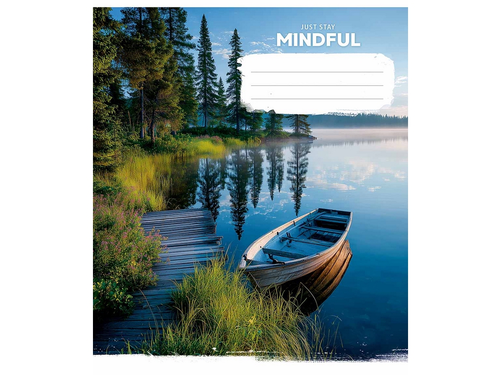 Тетрадь общая в клетку Star Just Stay Mindful 096-3764K, 96 листов, микс, цена за 1шт